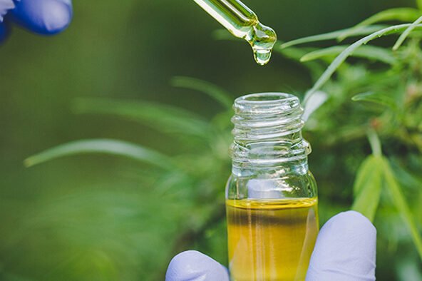 canadibiol e epilepsia