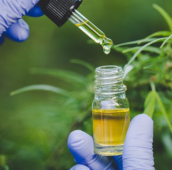 canadibiol e epilepsia canadibiol e epilepsia