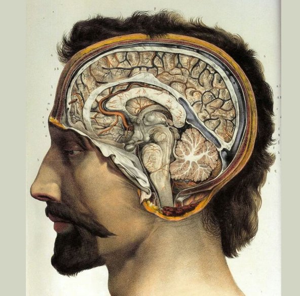 Doenças priônicas em humanos