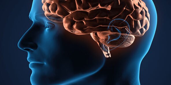 O que é Encefalite Límbica O que é Encefalite Límbica