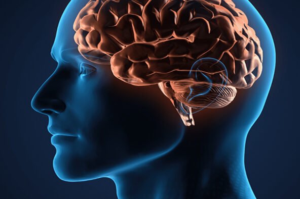 O que é Encefalite Límbica