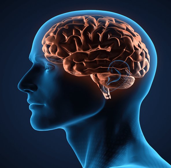 O que é Encefalite Límbica